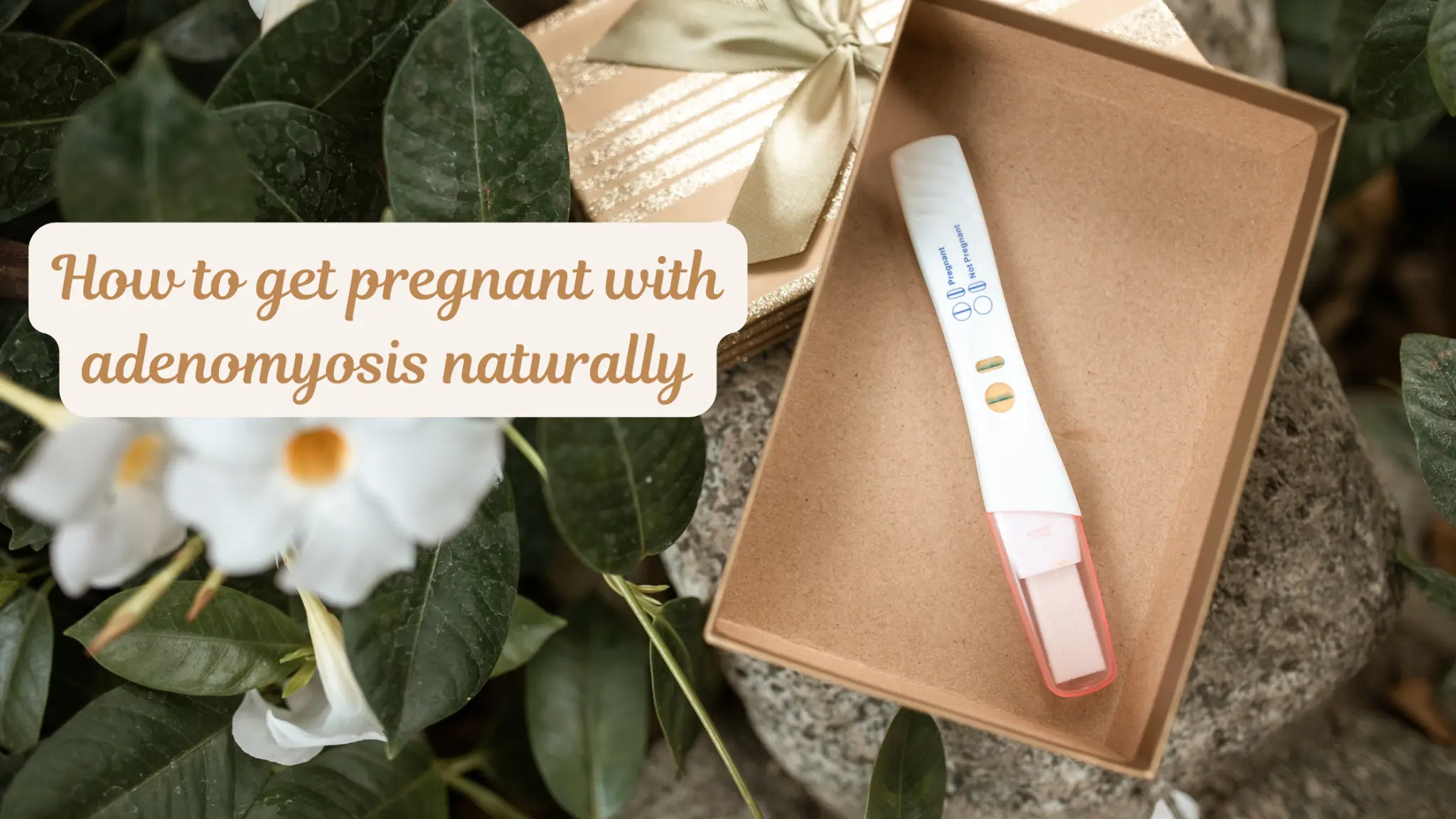 how to get pregnant with adenomyosis naturally
