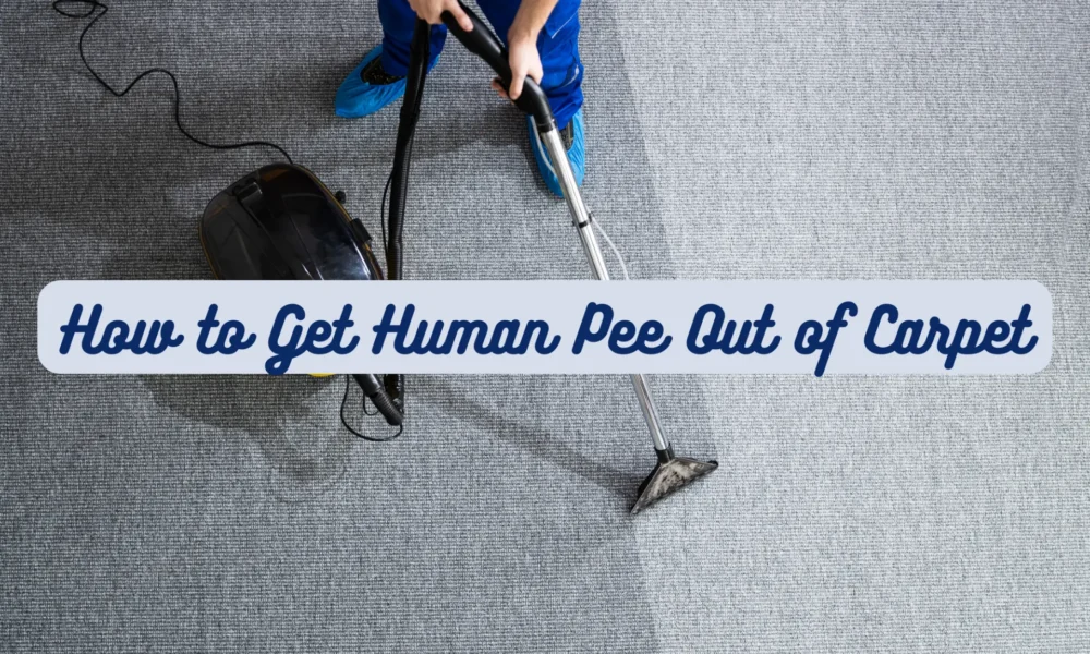 how to get human pee out of carpet