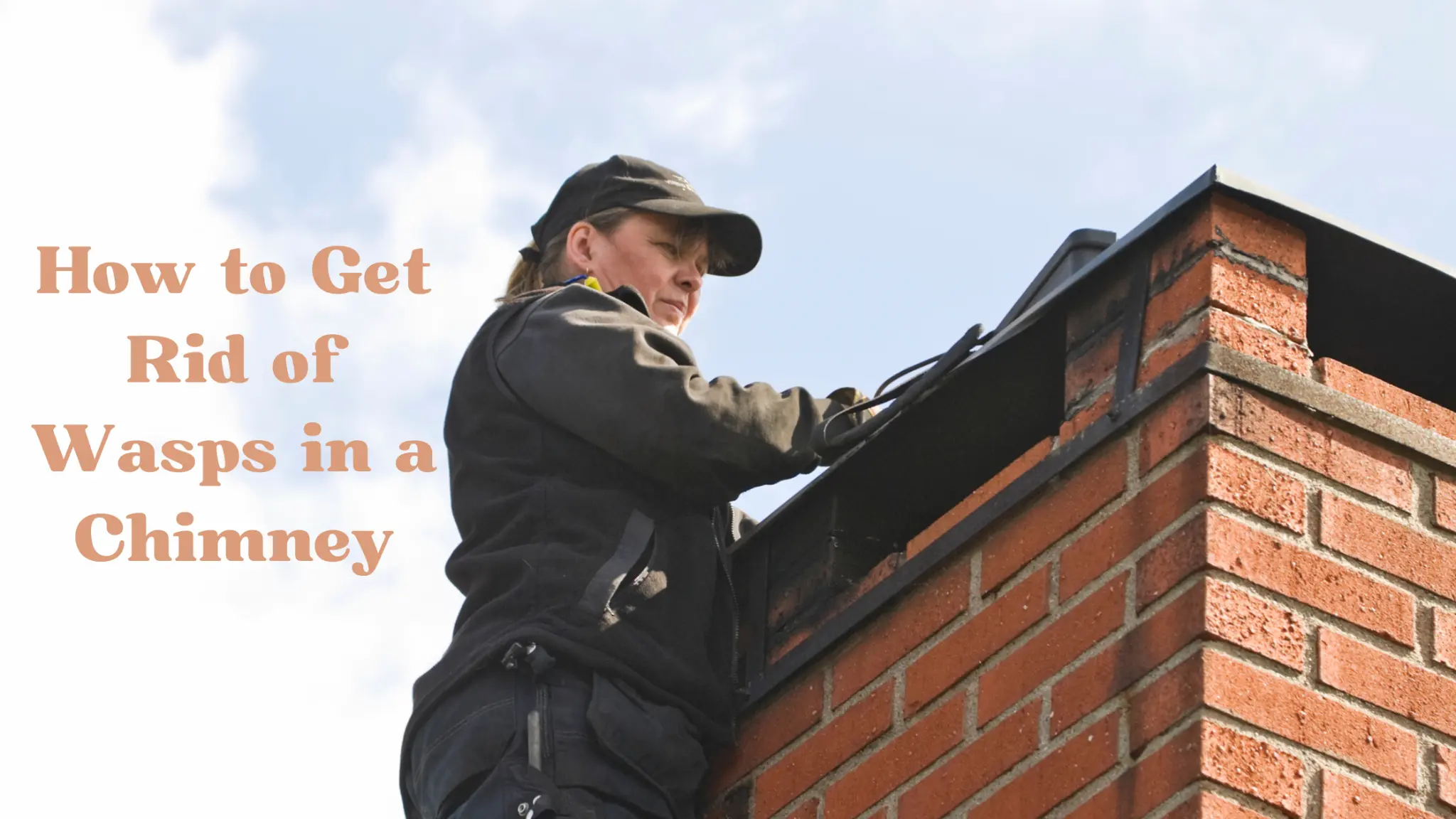 How to Get Rid of Wasps in a Chimney