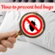 How to prevent bed bugs?