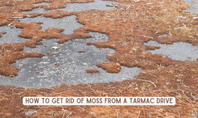 how to get rid of moss from tarmac drive
