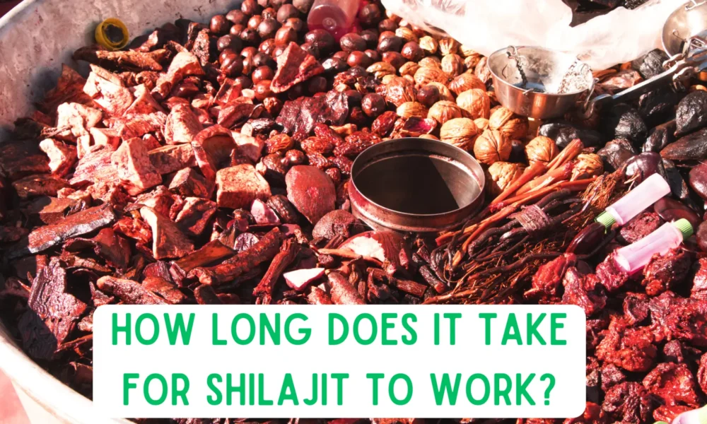How Long Does It Take for Shilajit to Work?