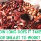 How Long Does It Take for Shilajit to Work?