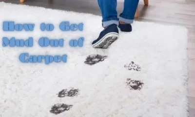 How to Get Mud Out of Carpet