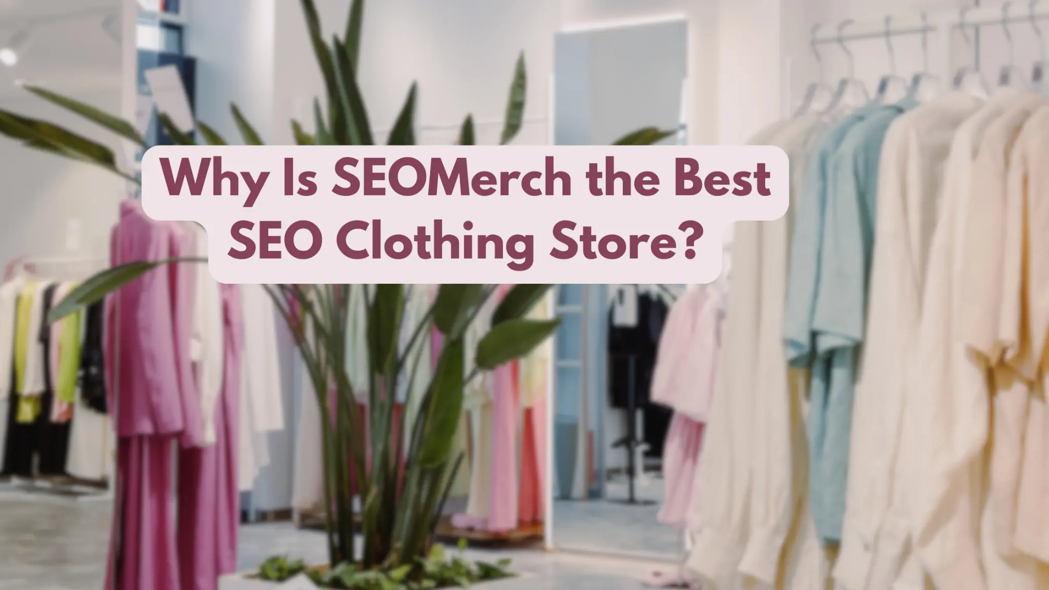 Why Is SEOMerch the Best SEO Clothing Store?