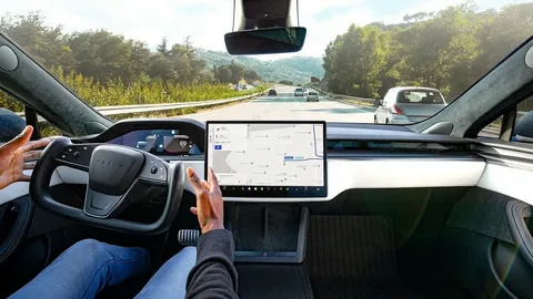 Tesla Self Drive