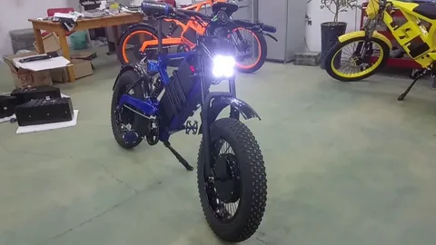 Dual Motor Electric Bike