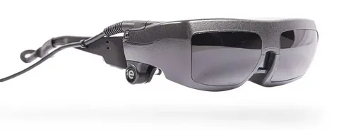 Electronic Vision