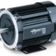 Inverter Electric Motor