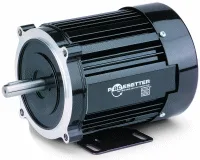 Inverter Electric Motor